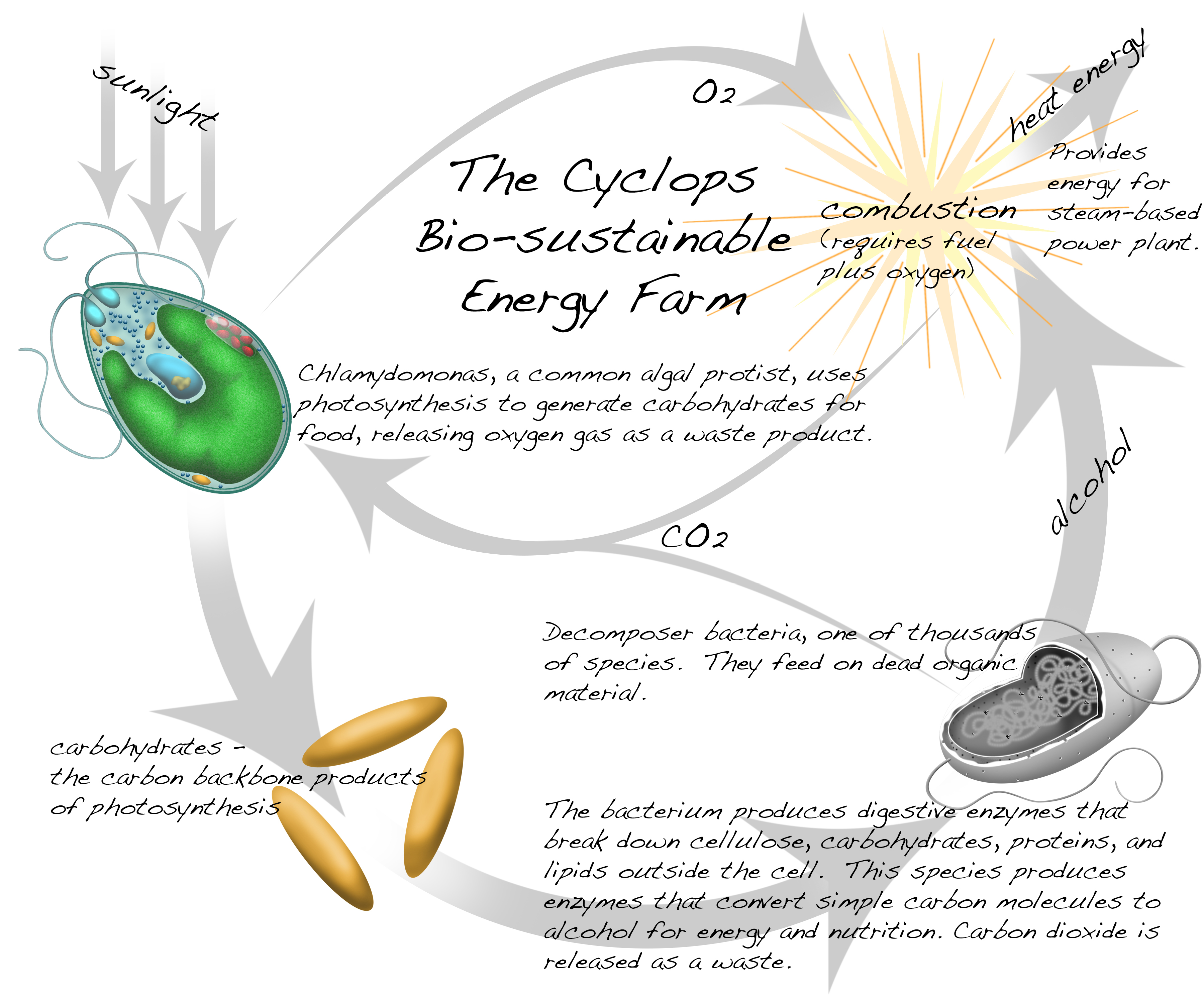 Renewable Energy Cycle.jpg